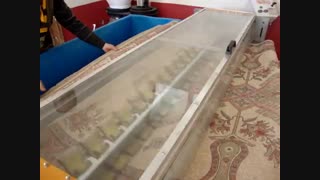 دستگاه خاک گیر قالی