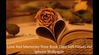 آهنگ Blank Space با صدای خودم و Taylor Swift