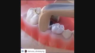 فضانگهدار، دکتر سهراب آصفی