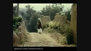 فیلم سینمایی زیر درختان زیتون