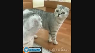 به دوست محی رای بدین واقعا لازم داره کمک کنید ای کسانی که ایمان اوردید