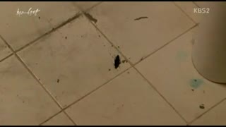 سکانس برتر(The best hit)