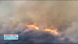 آتش سوزی گسترده در جنگلهای غرب