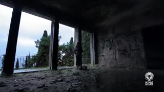 برای کسی که دوسش دارم