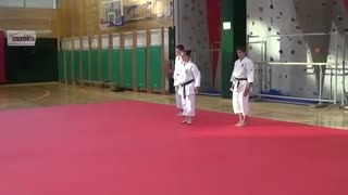 Slavnostna zaključna akademija Karate kluba Brežice: Byakko (Meibukan) - kata team
