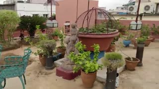 ویژگی جدید 4K EIS در گوشی OnePlus 5 باورنکردنی است