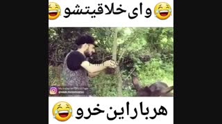 هر بار این خرو ...محکم نبند نرو هخخخخ