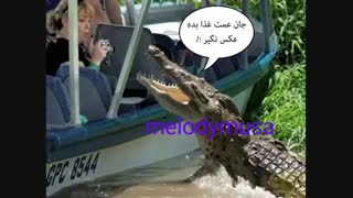 جان عمت غدا بده عکس نگیر + ت مهم