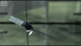 ساخت ربات هوشمند حیوانات: مرغ دریایی و سنجاقک