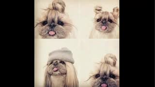 بجه ها نظر بدین ویدیو قبلی رو ایده خوبیه یا نه