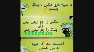 فرق مگس با پلنگ...خخخخخخ