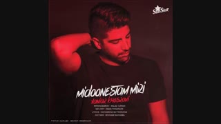 موزیک زیبای میدونستم میری زانیار - زدسانگ zsong.ir