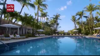 ماه عسل عروس و دامادهای مولتی میلیاردر چگونه می گذرد؟/ مرفه های بی درد عاشقانه ترین سکانس های زندگی شان را اینجا تجربه می کنند