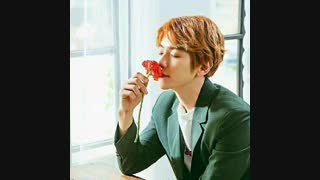 آلبوم جدید بکهیون اکسو