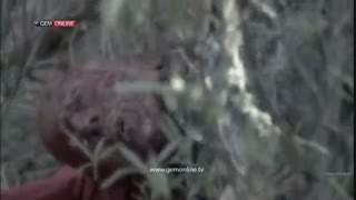 سریال مدرسه شبانه روزی قسمت 88 با دوبله فارسی