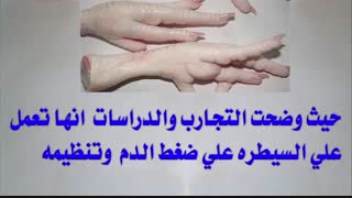 Rasti.ir   ماشین الات کشتارگاه مرغ و طیور نوار نقاله و کانوایر تجهیزات استیل شستشو و بسته بندی سبزی و میوه