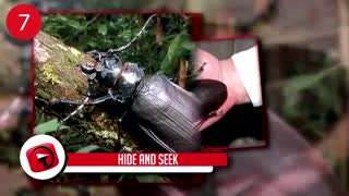 بزرگترین حیواناتی که فکرشم نمی کنین وجود داشته باشن!