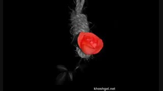 آهای پاییز ...