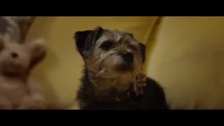 تریلر جدید فیلم Wonder 2017