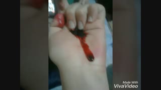 اخرین سری اسکل بازیای من..