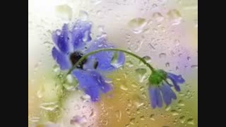 آهنگ زیبای ازت متشکرم با صدای مازیار فلاحی