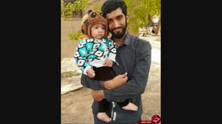 محی-چه زشت-شهید حججی