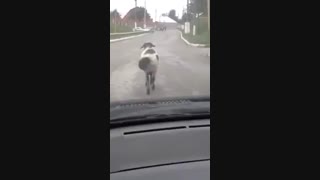 جوووووووووووووووووووووووون