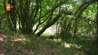 دانلود قسمت 9 سریال پرنده های بی بال با زیرنویس در galleryfilmdl@