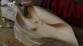 نجاران می توانند از یک کُنده تنه درخت چنین برگ زیبایی بسازند