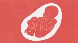 چرا بعضی ها چپ دست هستند ؟!(13 آگوست روز جهانی چپ دست ها)