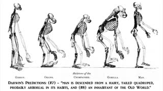 پیشبینی های فرگشتی Evolutionary Predictions
