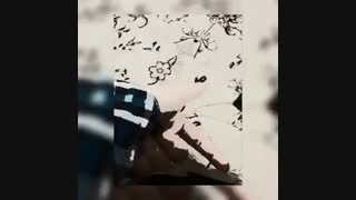 داستان دلیل عشق...