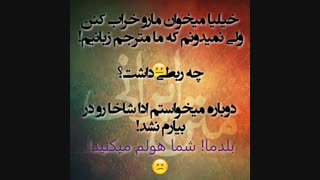 هولم میکنین دیگه:|