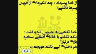 شرمنده ام پسرا آخه اگه نمی زاشتم هویج می شدم