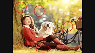 اینم جواب مسابقه برنده حدیث خانممم مبارکت باشه :)