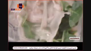 مخلوط کن گاستروبک-خرید آنلاین در www.sinbod.com