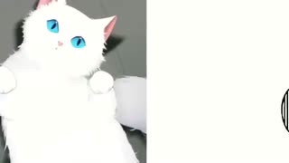 MEP ANIME- Senpai_موزیک ویدئو انیمه ای سنپای _AMV