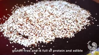 ماست گیاهی وگان (وگن)- قسمت اول "درست کردن ریجوولاک"-گیاهخواری