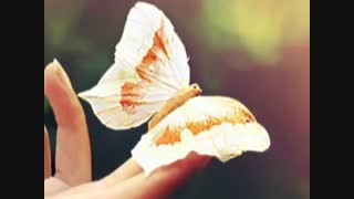 سمفونی قلب من : شعر مرتضی راهبر با خوانش بانو  زری مینویی