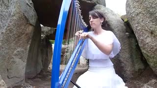 تم ارباب حلقه ها با چنگ