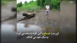 مردی که تمساح را به وجد می‌آورد..