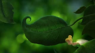 انیمیشن کوتاه تینکربل"آرررر!" دوبله فارسی