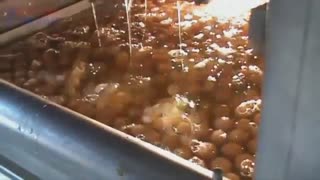 مدیریت تولید تخم مرغ به صورت شگفت انگیز