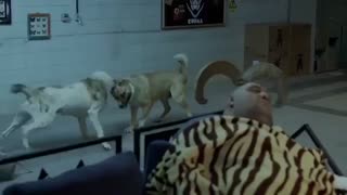 تیزر جدید فیلم سینمایی کوپال