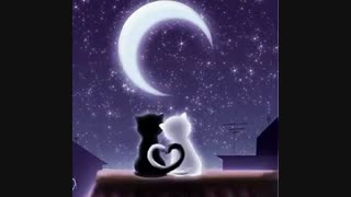 آهنگ آرامش بخش و لالایی . شب بخیر کوچولوها