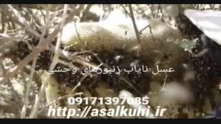 عسل کوهی طبیعی