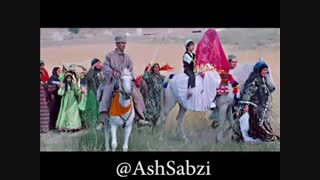 موزیک شیرازی به نام گلنسا