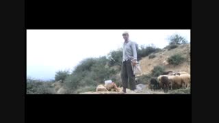 www.shoppluss.ir - فیلم داستانی به رنگ باران