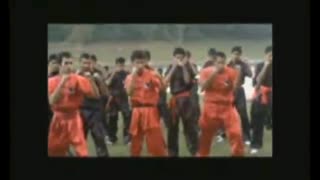 فیلم اژدهای سرخ