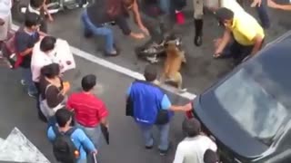 عجب ول نکنیه!!باتومو، شوکرو، اسپری فلفل هم بهش اثر نمیکنه !!!